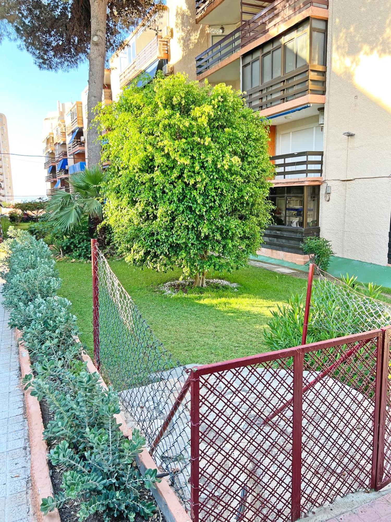 Coqueto Con Piscina, Nuevo A 50M Del Mar, Parking Gratis Daire El Campello Dış mekan fotoğraf