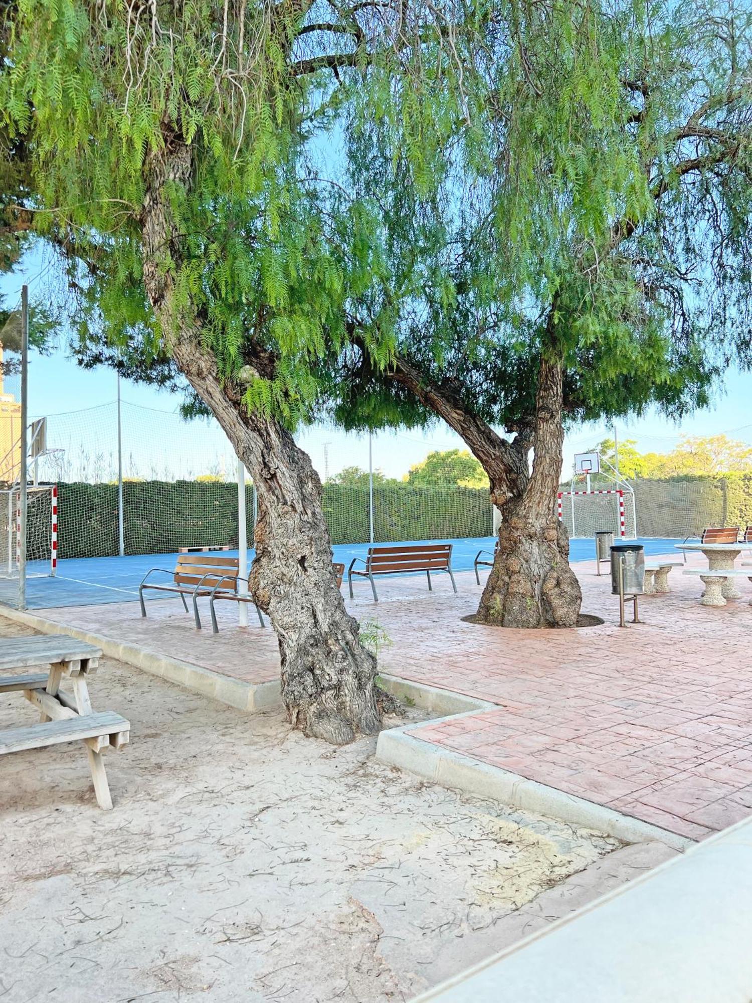 Coqueto Con Piscina, Nuevo A 50M Del Mar, Parking Gratis Daire El Campello Dış mekan fotoğraf