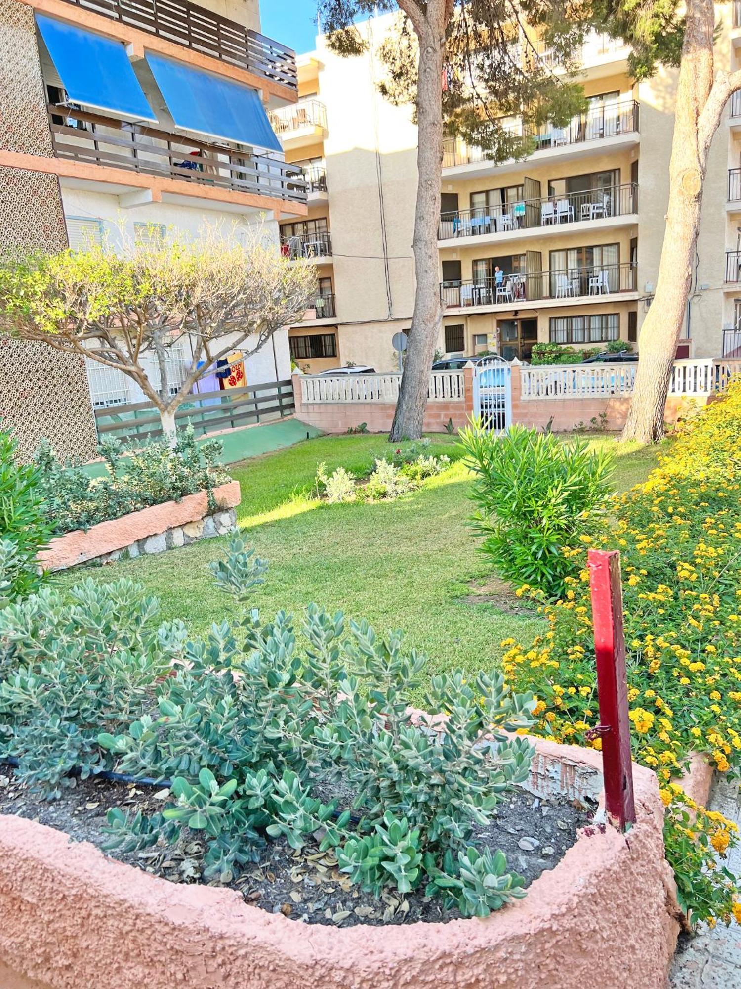 Coqueto Con Piscina, Nuevo A 50M Del Mar, Parking Gratis Daire El Campello Dış mekan fotoğraf