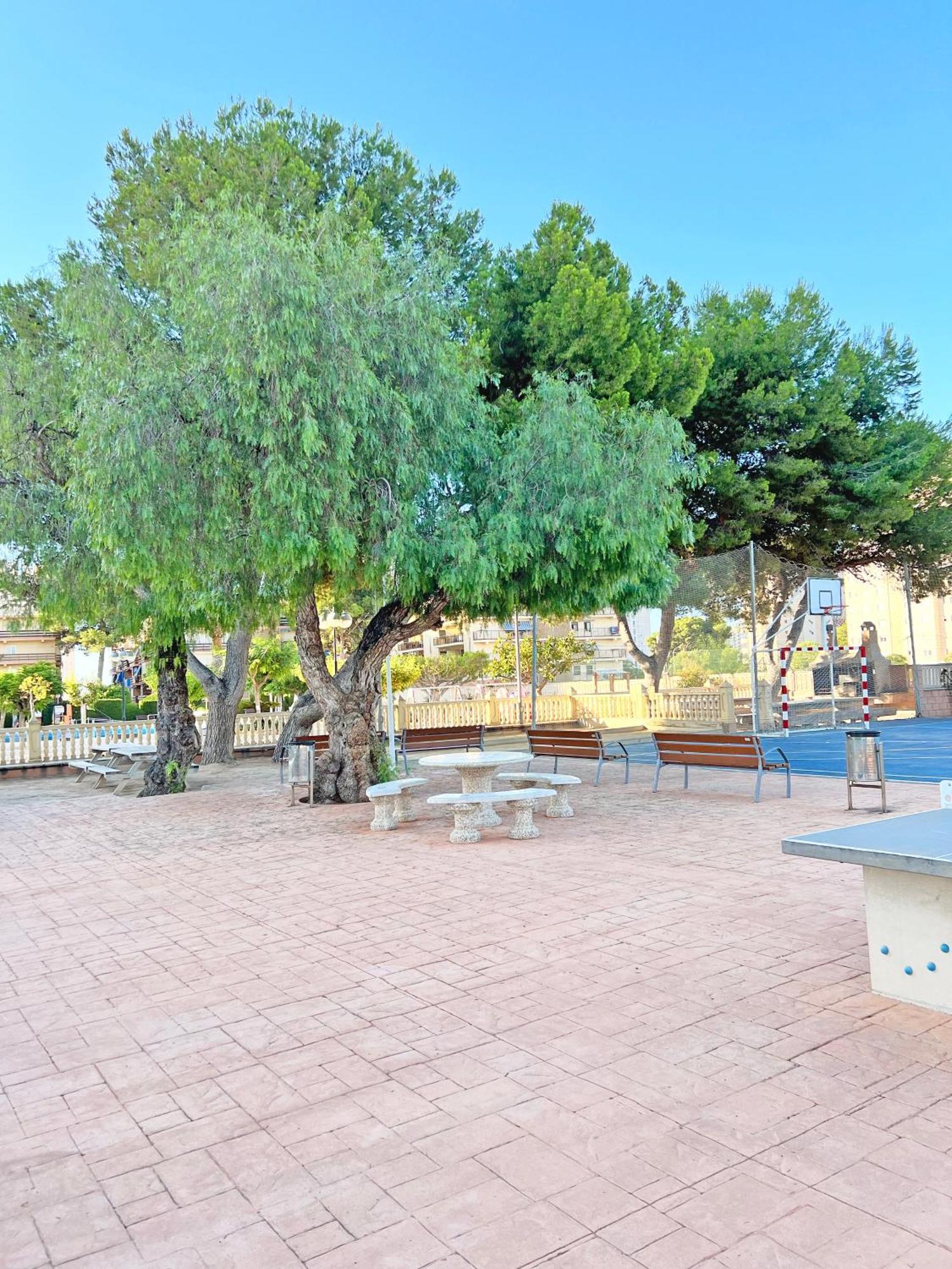 Coqueto Con Piscina, Nuevo A 50M Del Mar, Parking Gratis Daire El Campello Dış mekan fotoğraf